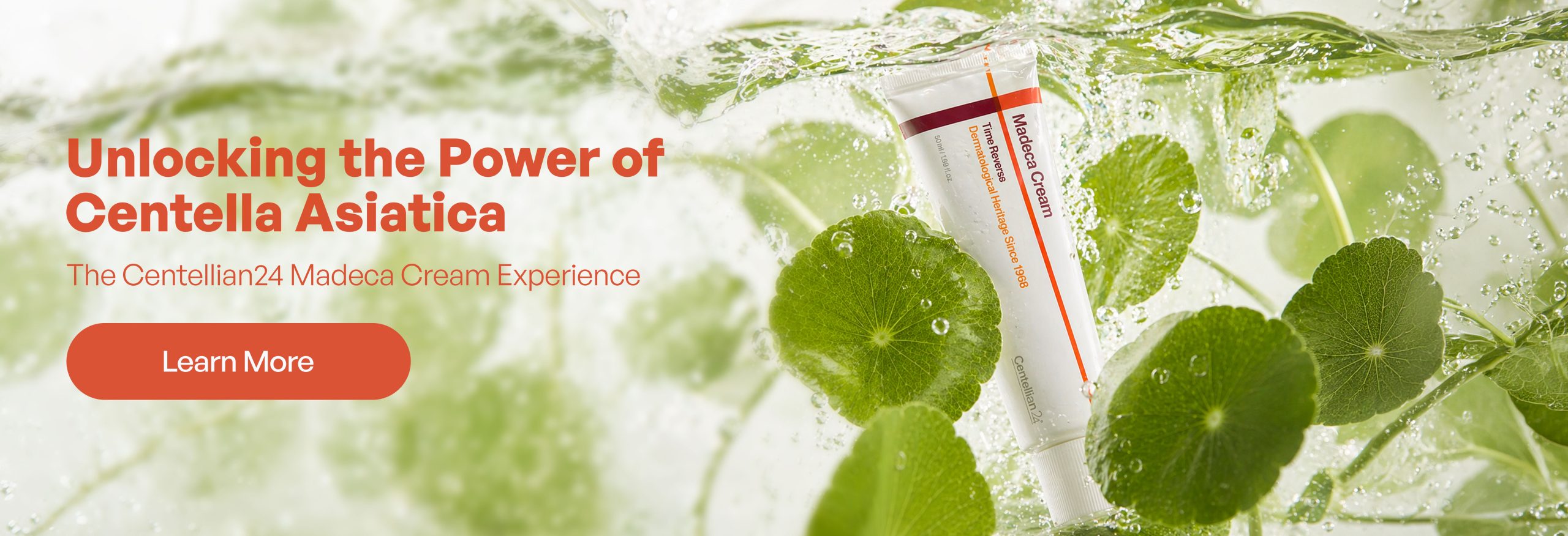 Unlocking the Power of Centella Asiatica: The Centellian24 Madeca Cream Experience