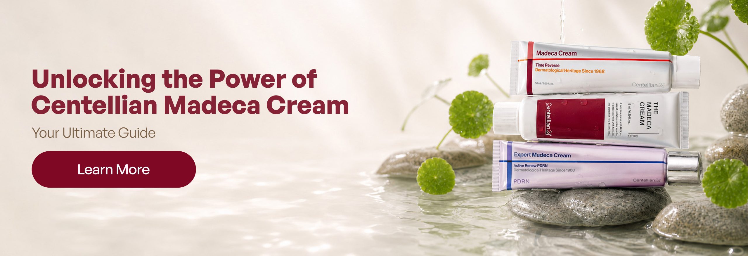 Power of Centellian 24 Madeca Cream: Your Ultimate Guide