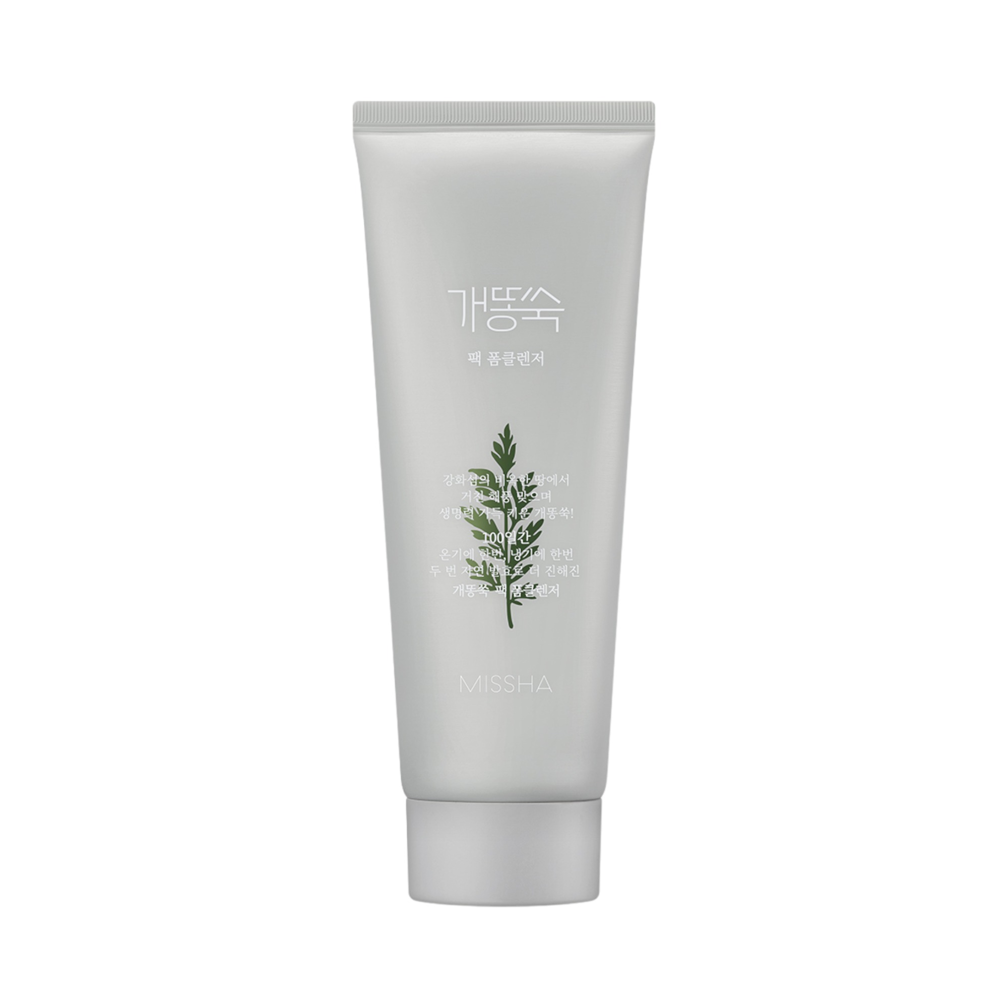 Artemisia Pack Foam Cleanser