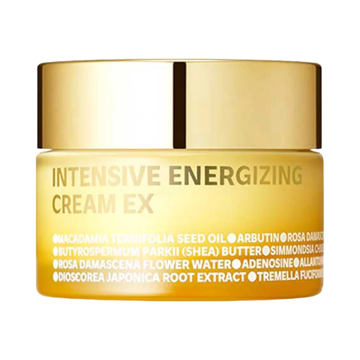 Intensive Energizing Core Elasticity Cream EX