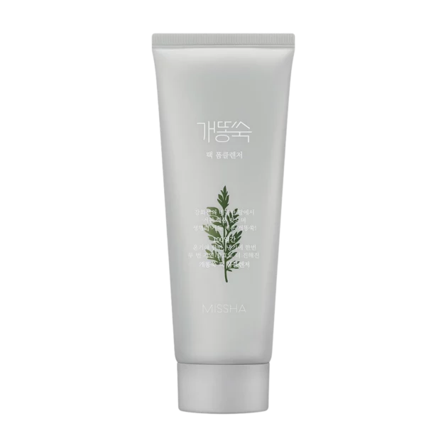 Artemisia Pack Foam Cleanser