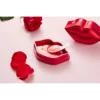 Rose Lip Mask 50g 20 pcs