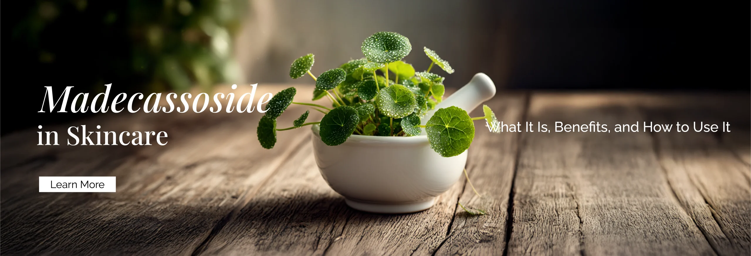 Madecassoside in Skincare: What It Is, Benefits, and How to Use It