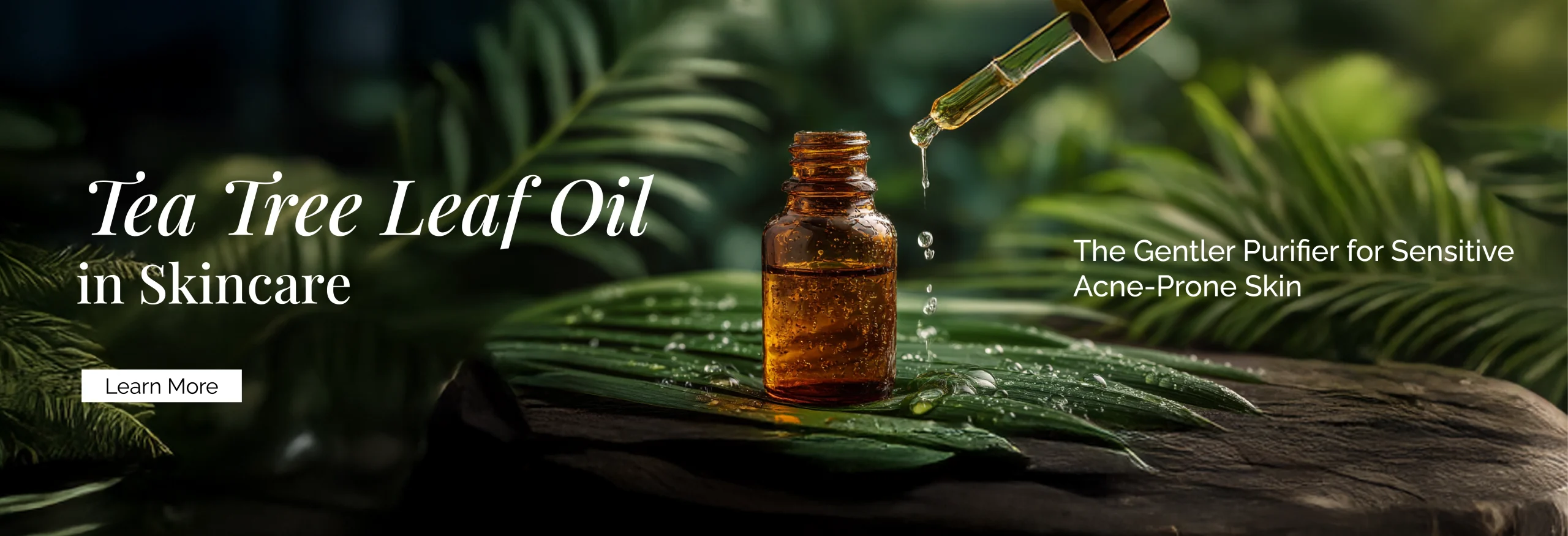 Tea Tree Leaf Oil in Skincare: The Gentler Purifier for Sensitive Acne-Prone Skin