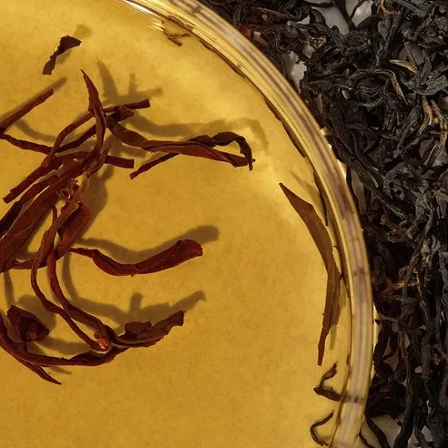 Kombu Balancing Ampoule Toner - Image 4