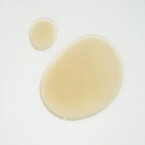 Kombu Balancing Ampoule Toner - Image 5
