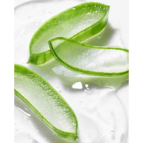 Aloe Revitalizing Soothing Gel - Image 7