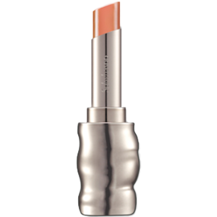 Perfecting Lip Color, 3g, 310 Terra, 1pack