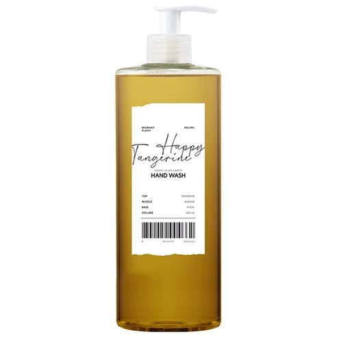 Moment Planned Hand Wash [Happy Tangerine], 500ml, 1pack